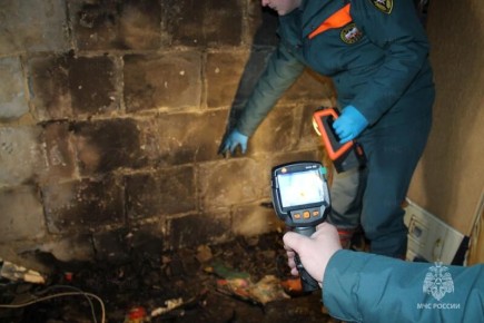 В системе МЧС России более 2 800 дознавателей
