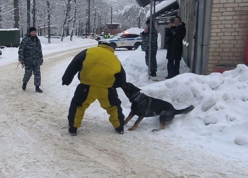 Будни патрульных и инспекторов ДПС: тульские студенты в рамках акции «Студенческий десант» на день сменили аудитории на службу в полиции Будни патрульных и инспекторов ДПС: тульские студенты в рамках акции «Студенческий десант» на день сменили аудитории на службу в полиции