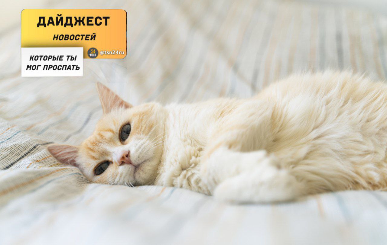 Рассказываем о новостях, которые вы могли пропустить вчера