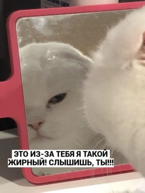 � ������ ������������� ��������� ����� ��������� � ���������