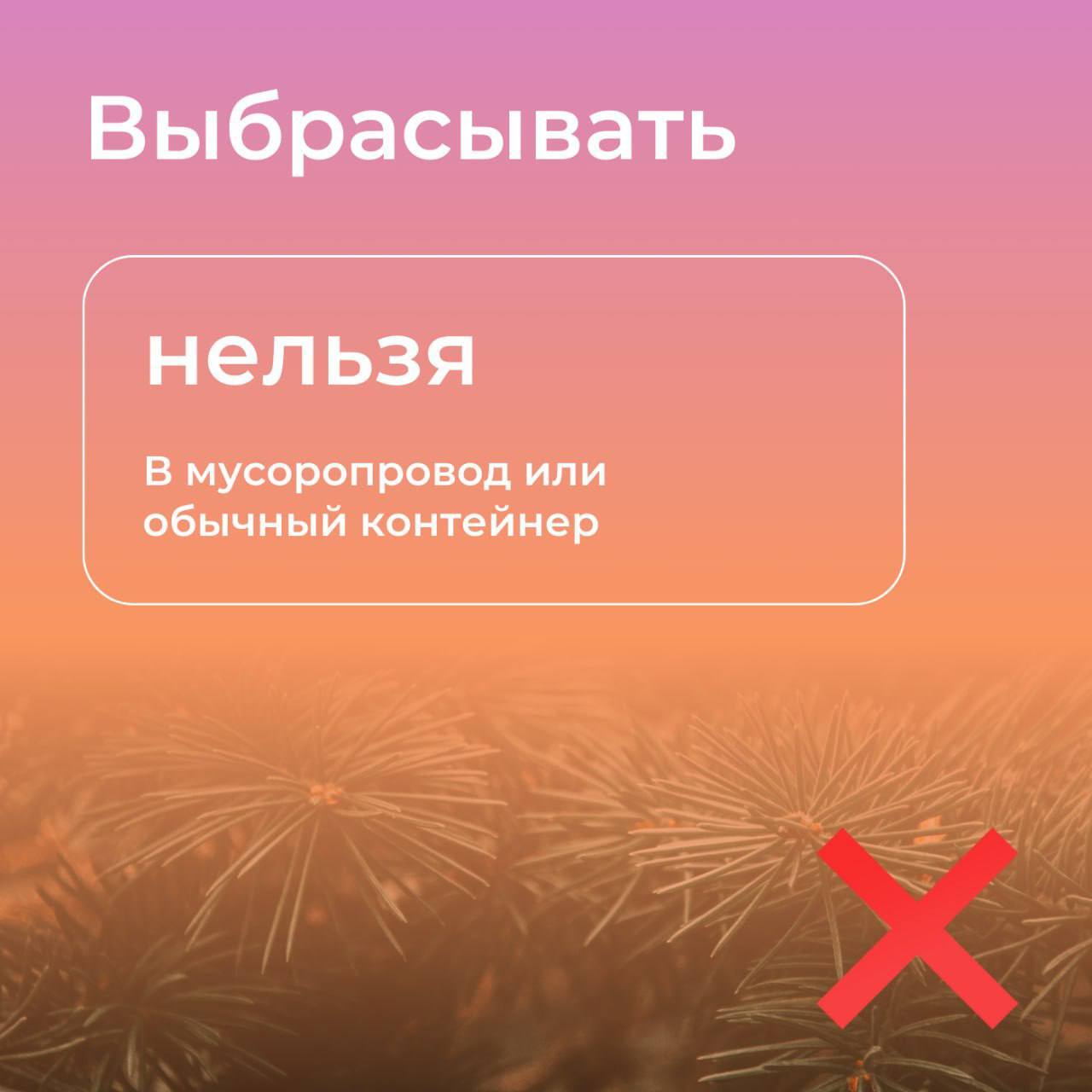 Постпраздничные хлопоты: правила утилизации натуральных новогодних ёлок Постпраздничные хлопоты: правила утилизации натуральных новогодних ёлок