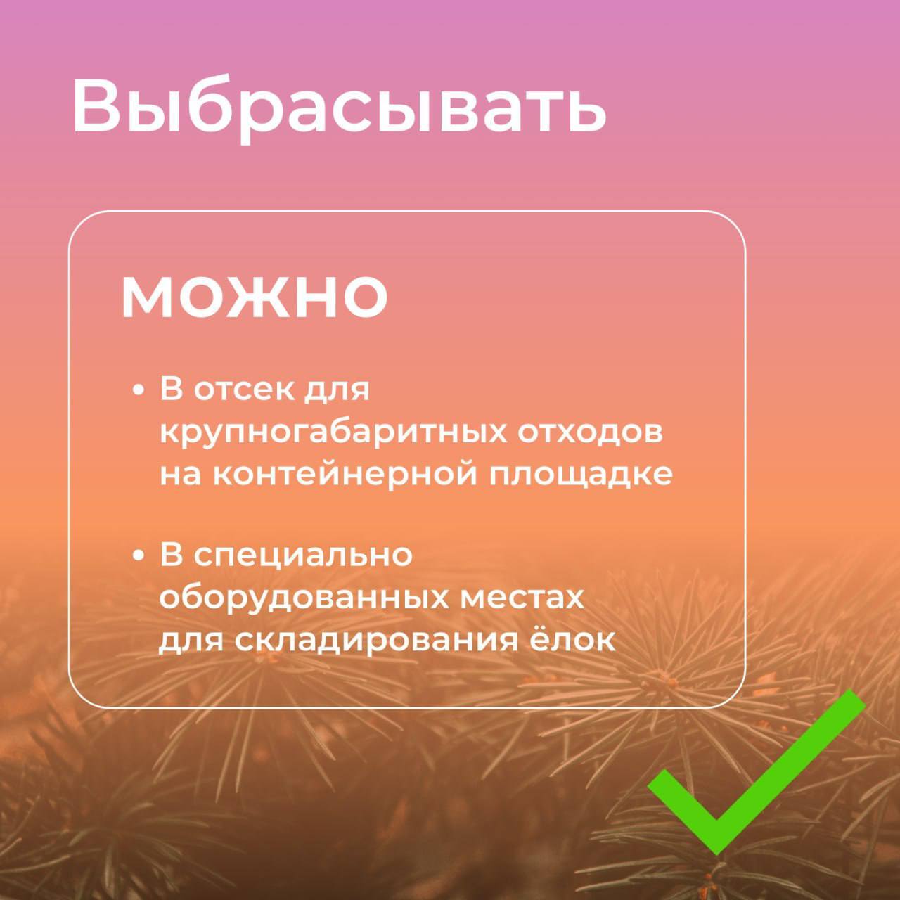 Постпраздничные хлопоты: правила утилизации натуральных новогодних ёлок Постпраздничные хлопоты: правила утилизации натуральных новогодних ёлок