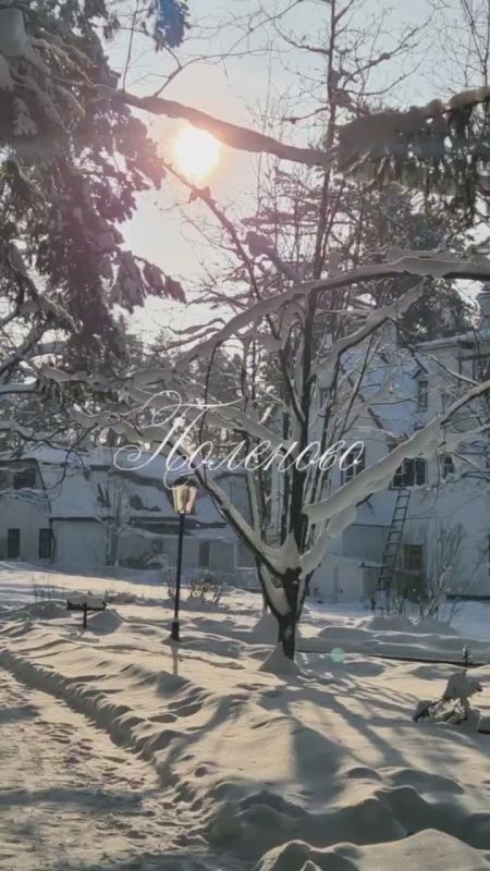 ���������� ������ ������ ������� � ��������