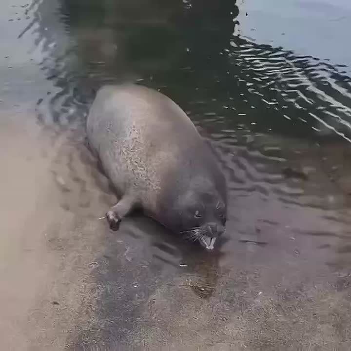 ��������!. ������� �� ��������