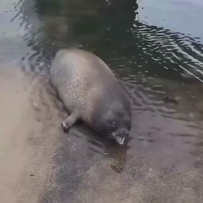 ��������!. ������� �� ��������