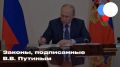 Новые законы от Путина: Как они изменят жизнь россиян