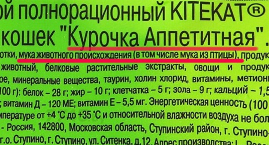 ��� ������� ������������ ������� ����: ������, ������� ���� �����