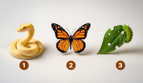 ��� ������� ���� ���� � ����������: ��������������� ���� �� ���������� �������������