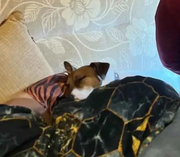 Тульский Смауг: мужчина украл золотые украшения почти на 140 тысяч рублей из ПВЗ Wildberries Тульский Смауг: мужчина украл золотые украшения почти на 140 тысяч рублей из ПВЗ Wildberries