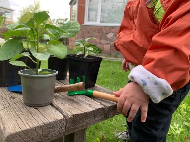 ��� ������� ��������� ���������� ��� ������� ��� �����