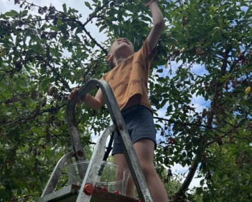 ������ ��� � ����� �����. ���-���� �������� �������