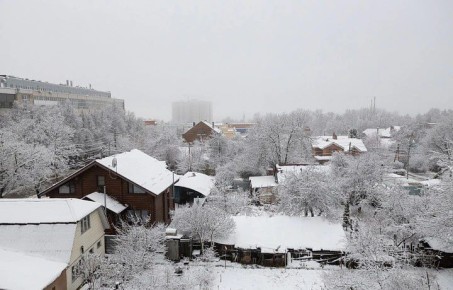 � �������� ������� ��������� �������� ����� � ����������