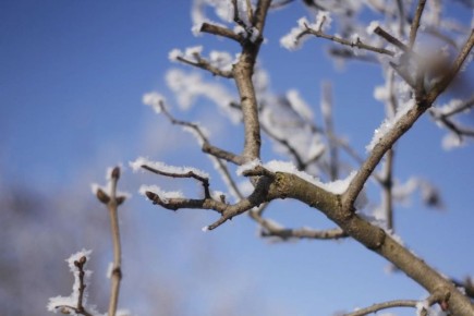 ���� 25 ������ � �������� ������� ����� ����� �������� � ������ ����