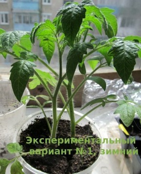 ��� ��������� ������� ������ ��� ���������: ���������� ����� ��� ���������