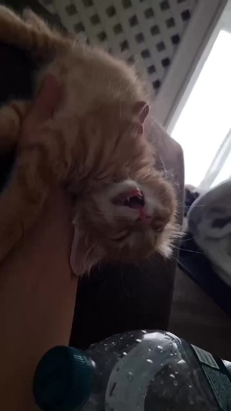 ��� � ����, ����, ��� ��� ���������� �� ������ ��� ����������