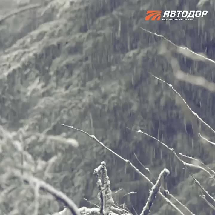 Внимание водители!. На сети Госкомпании «Автодор» в настоящее время задействовано около 300 единиц техники, за прошедшие сутки использовано более 8 тысяч тонн противогололедных материалов