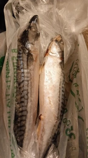 Как чек раскрыл обман в рыболовном магазинчике и что из этого следует