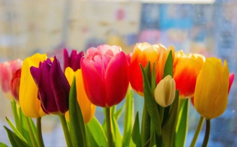 ��� � ���� ����� ����� ������ ����� � 8 �����? ��������� ������ �������