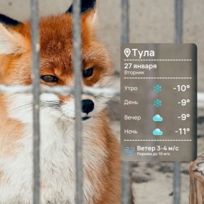 Доброе утро. Сегодня, если верить синоптикам, пройдут снегопады