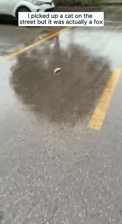 ������� ����� �� ����� ������ � ������ ��� �����, �� ���������, ��� ��� �����