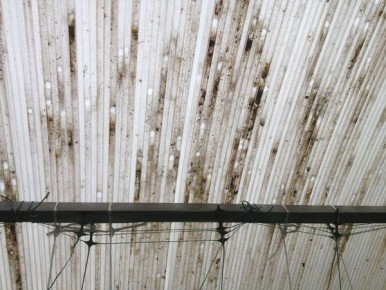 ��� ������� ������������ ��� ������� ��� ������ � ��������