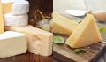 Свежесть сыра дольше сохраняется, если рядом лежит один простой ингредиент