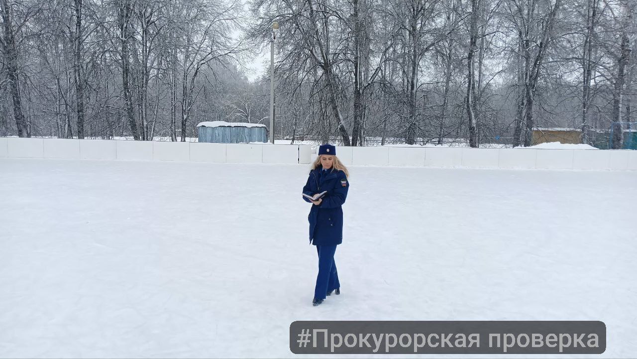 Прокуратура Куркинского района провела проверку исполнения законодательства, регламентирующего организацию благоустройства на территории Куркинского района в зимний период