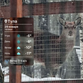 ������ ����. ����� ������� ��� �������� ������ ���, ��� �� ��������