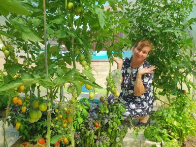 ��� ������� ����� ������� ������� � �������: �������� �������� � ������������ ����������