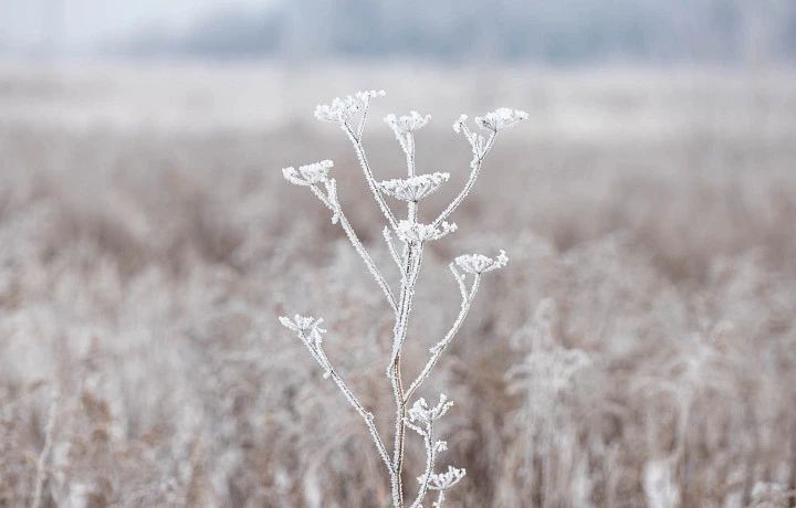 ������ �� 30 ������. ����� ��������: 08:21