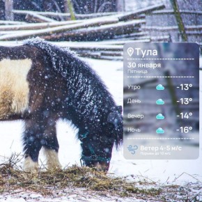 ������ ����. ���������� � ������ ��� �������!