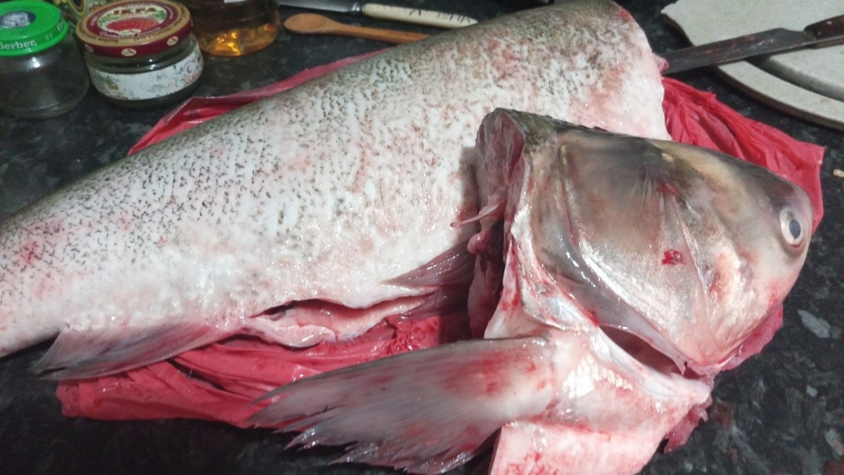 Хрустящая рыба без муки: секреты приготовления без брызг