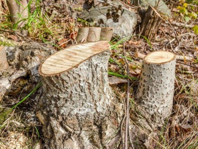 ��� ������ ���������� �� ��� �� ������� ��� ������ ������