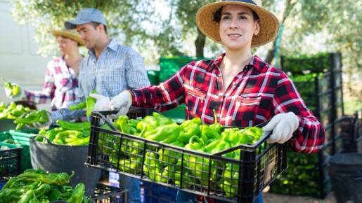 ����� �������� �� ������� �������: �������� � ����� ����� �������� ��� ���