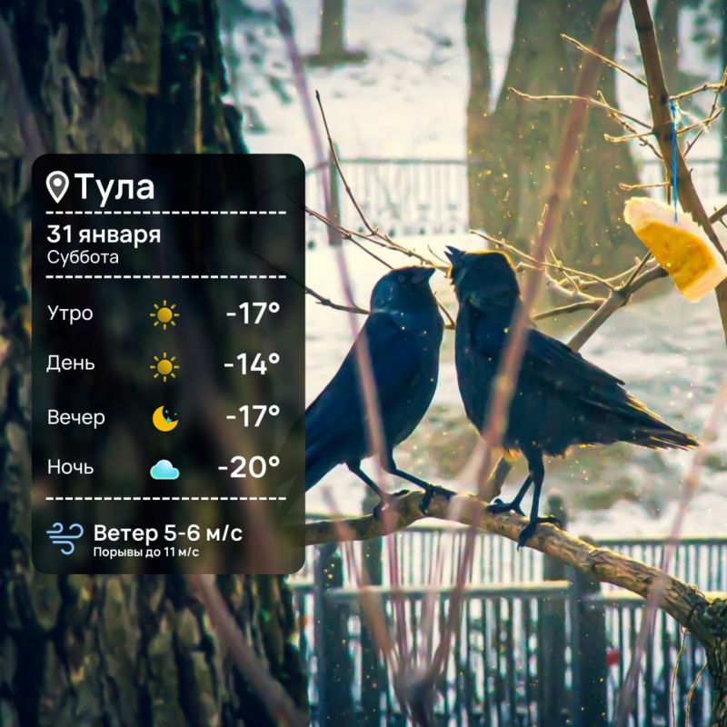 ������ ����. ������ ����� ��������� � ����������� ��������!