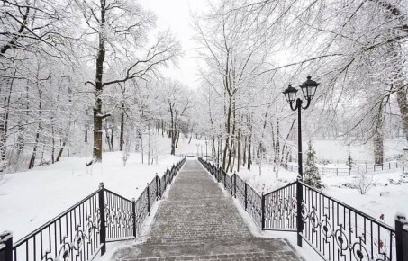 На предстоящей рабочей неделе Тульскую область ждут сильные морозы