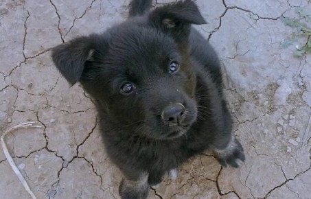 �� ������ ����������, ������ �������� ������� ��������� 439,2 ��� ������ �� ������������ ������, ��� �� 18% ������, ��� ����� �����