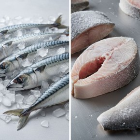 Охлаждённая или замороженная рыба: что выбрать на самом деле?