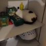 Усатый притворился буханкой хлеба, когда хозяева поймали его с поличным за воровством вкусняшек из шкафа