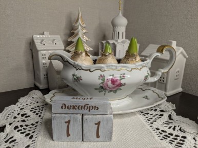 Как правильно достать первоцветы из холодильника: советы и рекомендации