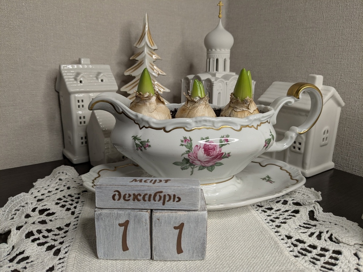 Как правильно достать первоцветы из холодильника: советы и рекомендации