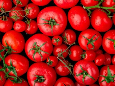 Цены на продукты в Липецкой области: что нового?