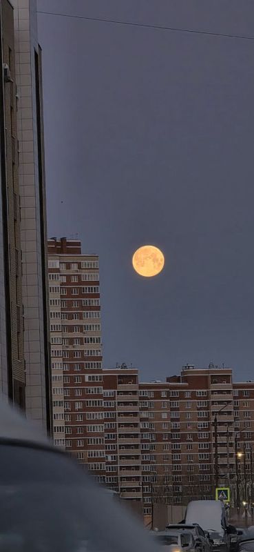 � �� �������� ������� ����� ������� ����*?