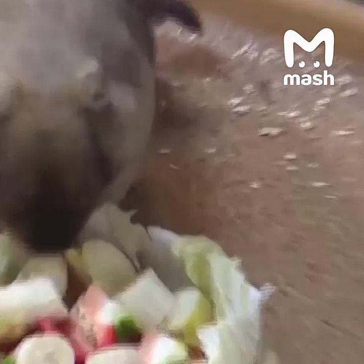 ������ ����� ��� ������� � ���� ����