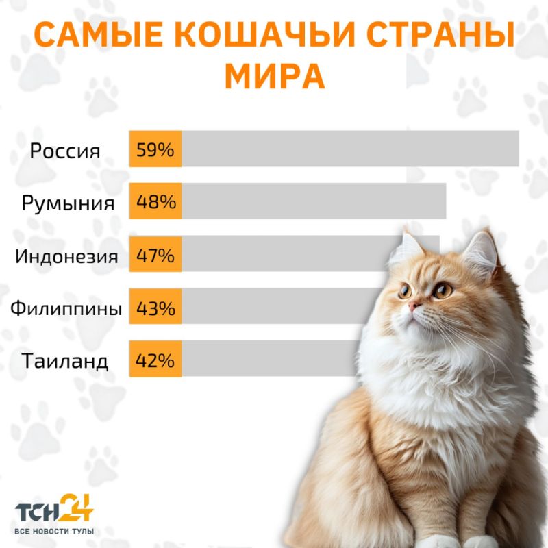 ������ ����� ������� � ������� �������� ����� ���������� �����