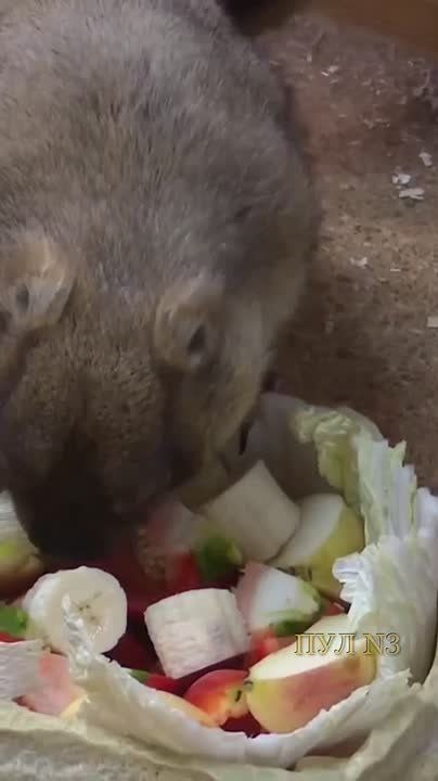 ����� ������ � ������ ����������� ������, �� �������� �����: