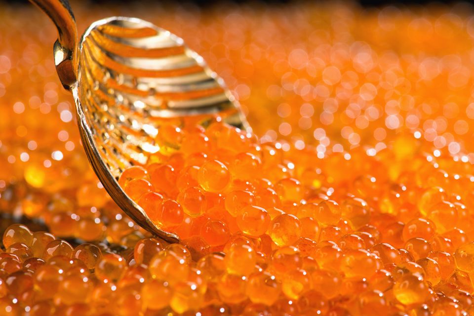 ��� ������� ��������� ������� ���� ��� ����������� ���������