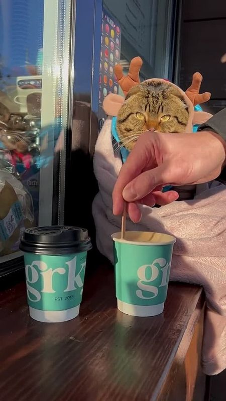 ��... �� ��� �����, �������, �� ���