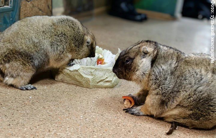 ����� � ������ ���� ������� �� ����� � ���� �����