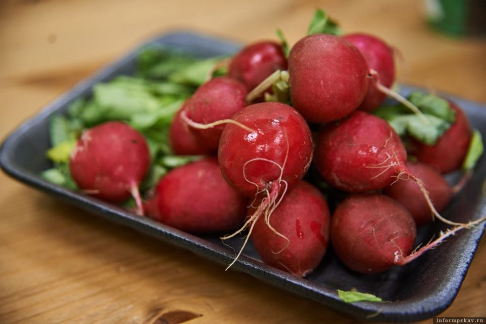 ��� ��������� ���� ������ � �����: ������ ��������